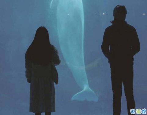 微博說說說到心坎上帶圖片 總有這么一個人會讓你毫無原因地笑起來 ?6