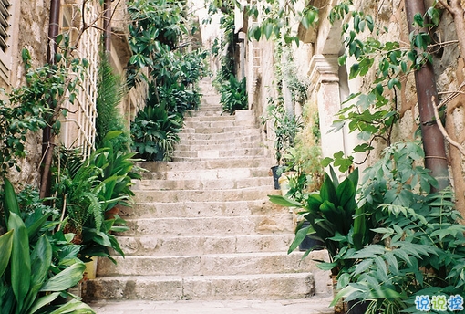 抖音人生感悟經(jīng)典說說帶圖片 很精辟的人生感悟一句話2