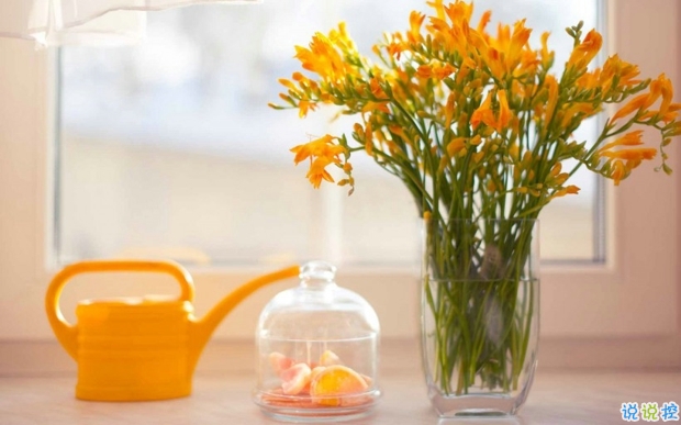 2019婦女節(jié)朋友圈說說大全配圖 溫馨浪漫的38婦女節(jié)說說帶圖片11