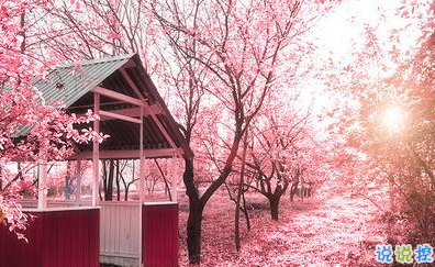 唯美時尚愛情說說帶圖片 很好看的唯美愛情說說精選2