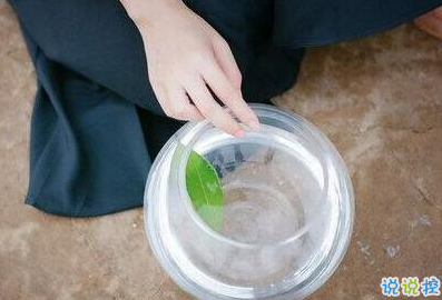 承蒙你出現(xiàn)，夠我喜歡好多年1