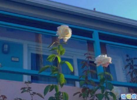 女生現(xiàn)實霸氣個性說說配圖大全 最新最酷女生個性說說帶圖片12