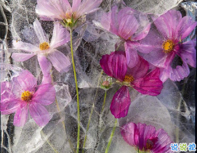 睡覺(jué)前的朋友圈晚安說(shuō)說(shuō)帶圖片 晚安心語(yǔ)說(shuō)說(shuō)心靈雞湯配圖3