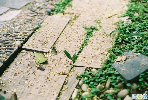 感悟人生的正能量句子帶圖片 你走過的彎路都是通向正軌的必經(jīng)之路14