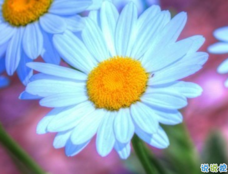 吸引人的超搞笑說說大全帶圖片 絕對笑翻天的搞笑說說配圖15