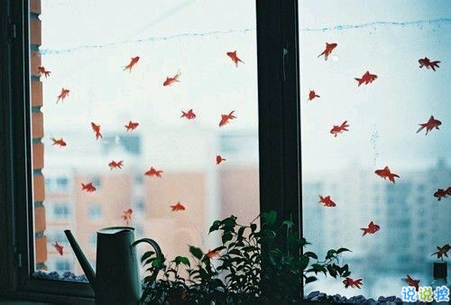 關(guān)于青春成長的哲理雖然簡單一句話但是很有道理的說說帶圖片1