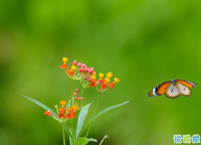 早安心語給所有人心靈雞湯 最溫暖的早安哲理句子1