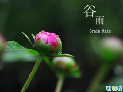 2019谷雨朋友圈說說配圖 谷雨節(jié)發(fā)朋友圈的說說優(yōu)美13