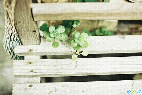 一個(gè)人情緒低落的傷感說(shuō)說(shuō)帶圖片 受過(guò)傷流過(guò)淚的難過(guò)說(shuō)說(shuō)11