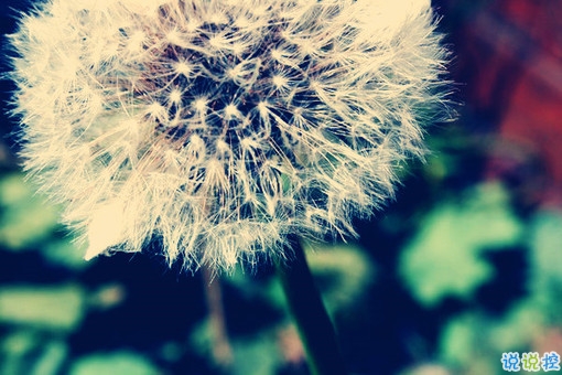 晚安說說勵志好心情一句大全帶圖片 簡單一句晚安心語勵志配圖11