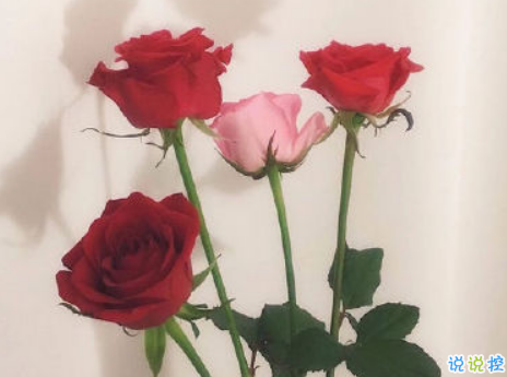 女生現(xiàn)實霸氣個性說說配圖大全 最新最酷女生個性說說帶圖片14