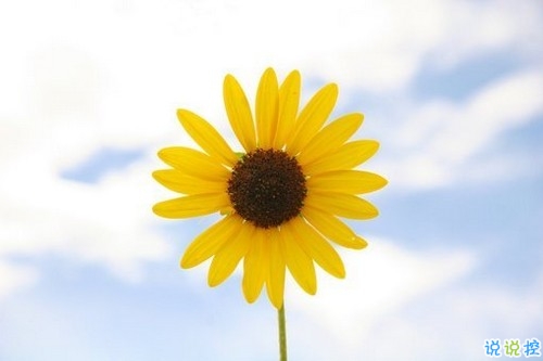 男生霸氣勵(lì)志說(shuō)說(shuō)2019精選 有深度有內(nèi)涵的男生說(shuō)說(shuō)13