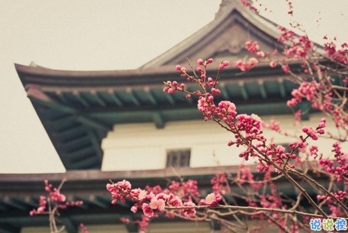 十二月治愈系早安說說2018精選帶圖片 麻煩十二月對我好一點11