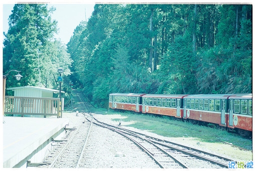 很特別的早安說說大全帶圖片 朋友圈早安心語獨(dú)一無二吸引人12