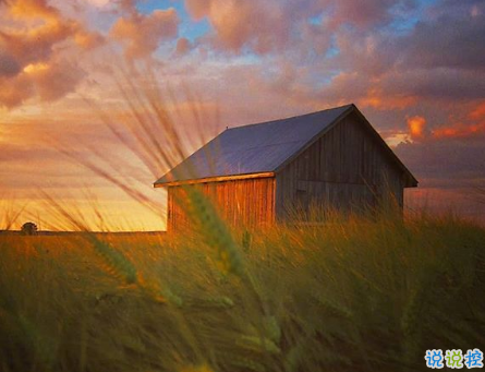 微信朋友圈可愛句子配圖 女生朋友圈俏皮可愛的愛情句子帶圖片7