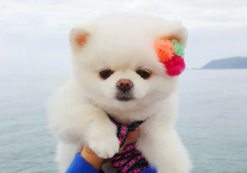 可以戳中中你笑點(diǎn)的搞笑說(shuō)說(shuō)帶圖片11