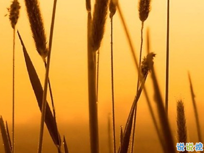 秋天朋友圈說(shuō)說(shuō)充滿(mǎn)詩(shī)意 唯美有詩(shī)意的秋天說(shuō)說(shuō)配圖1