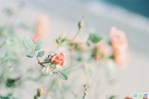 真心愛(ài)一個(gè)人的說(shuō)說(shuō)帶圖片 自從遇見(jiàn)你人生苦短甜長(zhǎng)2