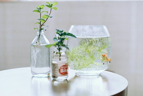 盤點(diǎn)周杰倫那些唱到我們內(nèi)心深處的歌詞帶圖片11