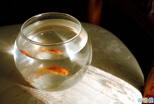 值得收藏的人生大道理勵(lì)志說說帶圖片 好聽的激勵(lì)人心的說說配圖15