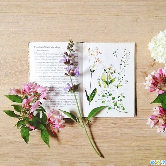 00后青春期暗戀一個(gè)人的甜蜜心情說說帶圖片15