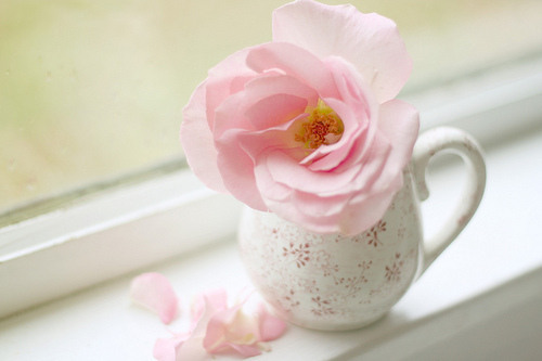 很含蓄唯美的藏頭詩(shī)說(shuō)說(shuō)帶圖片文字控會(huì)很喜歡8