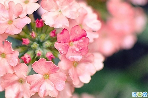 特別經(jīng)典人生的說(shuō)說(shuō)值得收藏帶圖片 朋友圈吸引人的經(jīng)典說(shuō)說(shuō)9