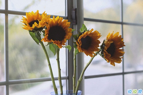 一個(gè)人掙扎的說說傷感心累帶圖片 睡不著心里不舒服的說說9