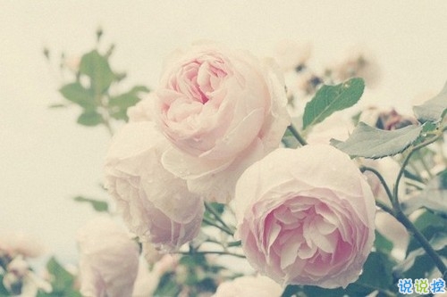 女生心累說說簡潔一句話帶圖片 回憶很傷人的說說一直無法忘記13