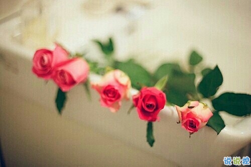 抖音最火經(jīng)典說說致自己 最新個人說說經(jīng)典勵志帶圖片5