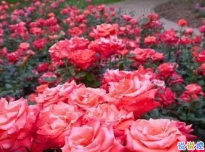 2019五一快樂(lè)心情說(shuō)說(shuō)帶圖片 五一祝福語(yǔ)說(shuō)說(shuō)經(jīng)典語(yǔ)錄4