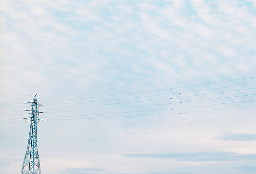 適合喜歡一個人時發(fā)的甜蜜愛情說說帶圖片 ?有你有我有吃的就又是美好的一天9