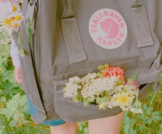 超唯美勵(lì)志的早安心語哲理說說帶圖片11