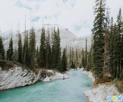 睡覺(jué)前的朋友圈晚安說(shuō)說(shuō)帶圖片 晚安心語(yǔ)說(shuō)說(shuō)心靈雞湯配圖12