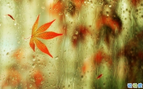 心情郁悶的傷感說說帶圖片 夜里睡不著覺的傷感心情說說配圖5