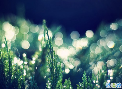 2019復(fù)活節(jié)祝福語(yǔ)英文大全帶翻譯配圖 復(fù)活節(jié)快樂(lè)說(shuō)說(shuō)致所有人7