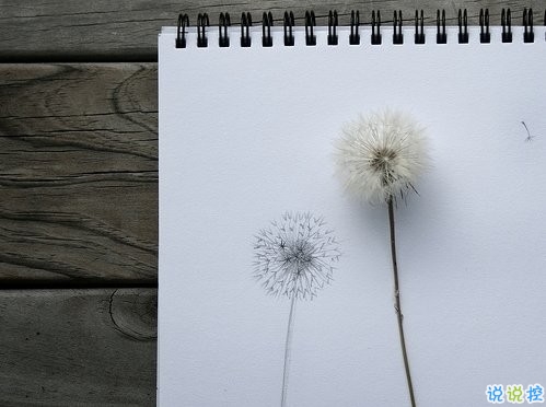 關(guān)于愛(ài)情簡(jiǎn)單又有道理的句子配圖 愛(ài)情是一個(gè)人的天荒地老14