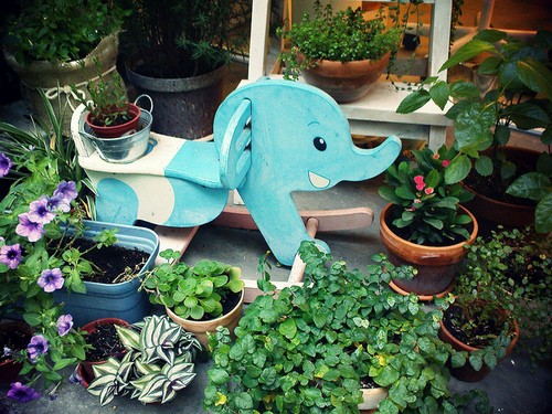 唯美文藝說(shuō)說(shuō)帶圖片 想做一個(gè)長(zhǎng)長(zhǎng)的夢(mèng)回到十九歲那年9