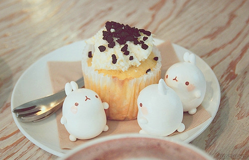 雖然有些傷感但還是很溫暖的圖片句子 我曾一想到你就會(huì)傻笑現(xiàn)在竟然記不清你的臉10