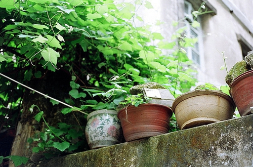 喜歡一個(gè)人時(shí)的甜蜜心情愛情說(shuō)說(shuō)帶圖片13