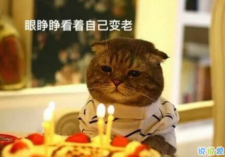 祝自己生日快樂的話搞笑圖片 發(fā)朋友圈表達自己生日搞笑個性說說20189