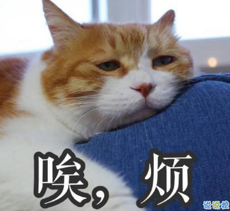 學生黨有趣圖片帶搞笑個性說說 你體驗過暴瘦的滋味嗎6