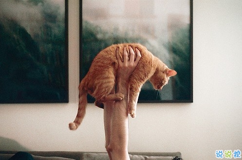 女生個(gè)性說說經(jīng)典霸氣帶圖片 知道自己不討喜那就乖一點(diǎn)3