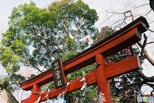 很經典精辟的哲理句子 感悟人生追逐夢想的經典哲理句子2