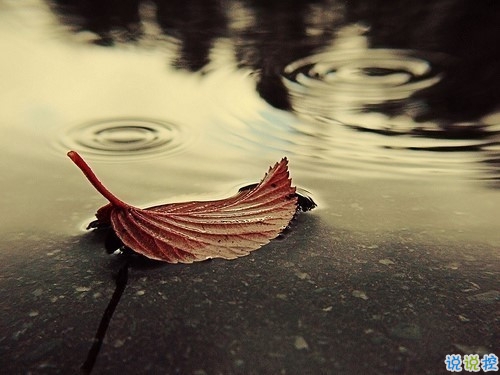 獨(dú)一無二微信個(gè)性說說帶圖片 路那么長少一些人也無妨10