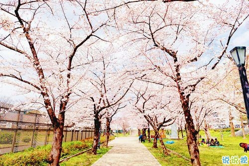 2019非主流經(jīng)典愛(ài)情說(shuō)說(shuō)帶圖片 很打動(dòng)人的一些愛(ài)情真理9