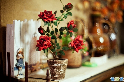 青春年少歲月中對(duì)人生的思考 精辟內(nèi)涵的經(jīng)典說(shuō)說(shuō)帶圖片很有意境4