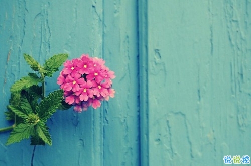 2019最新表白情話說說帶圖片 抖音流行的唯美情話句子6