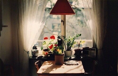 喜歡一個(gè)人的甜蜜小情話說(shuō)說(shuō)帶圖片 不愿再研墨執(zhí)筆因?yàn)樽掷镄虚g全是你7