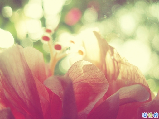 獨一無二的qq個性說說帶圖片 充滿陽光的經(jīng)典說說20191